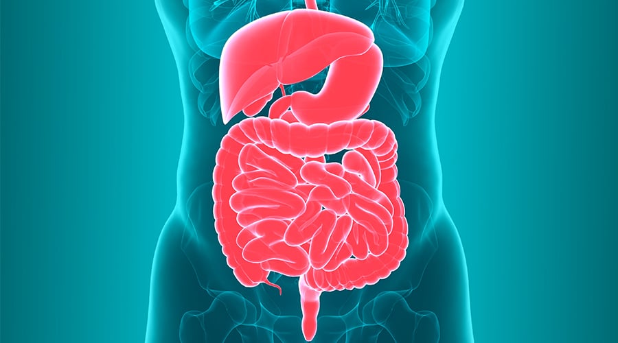 Gut health and healing from within for gadolinium toxicity